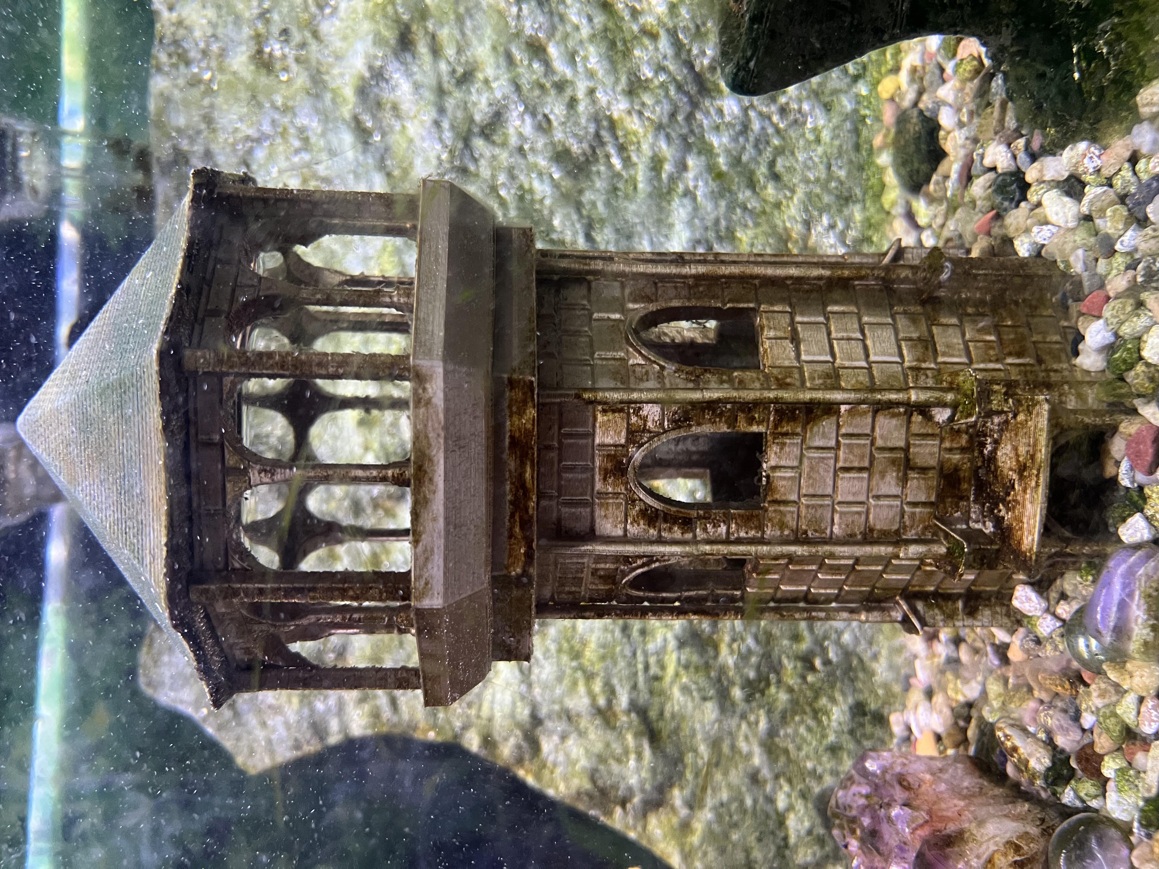 Aquarium Guard Tower